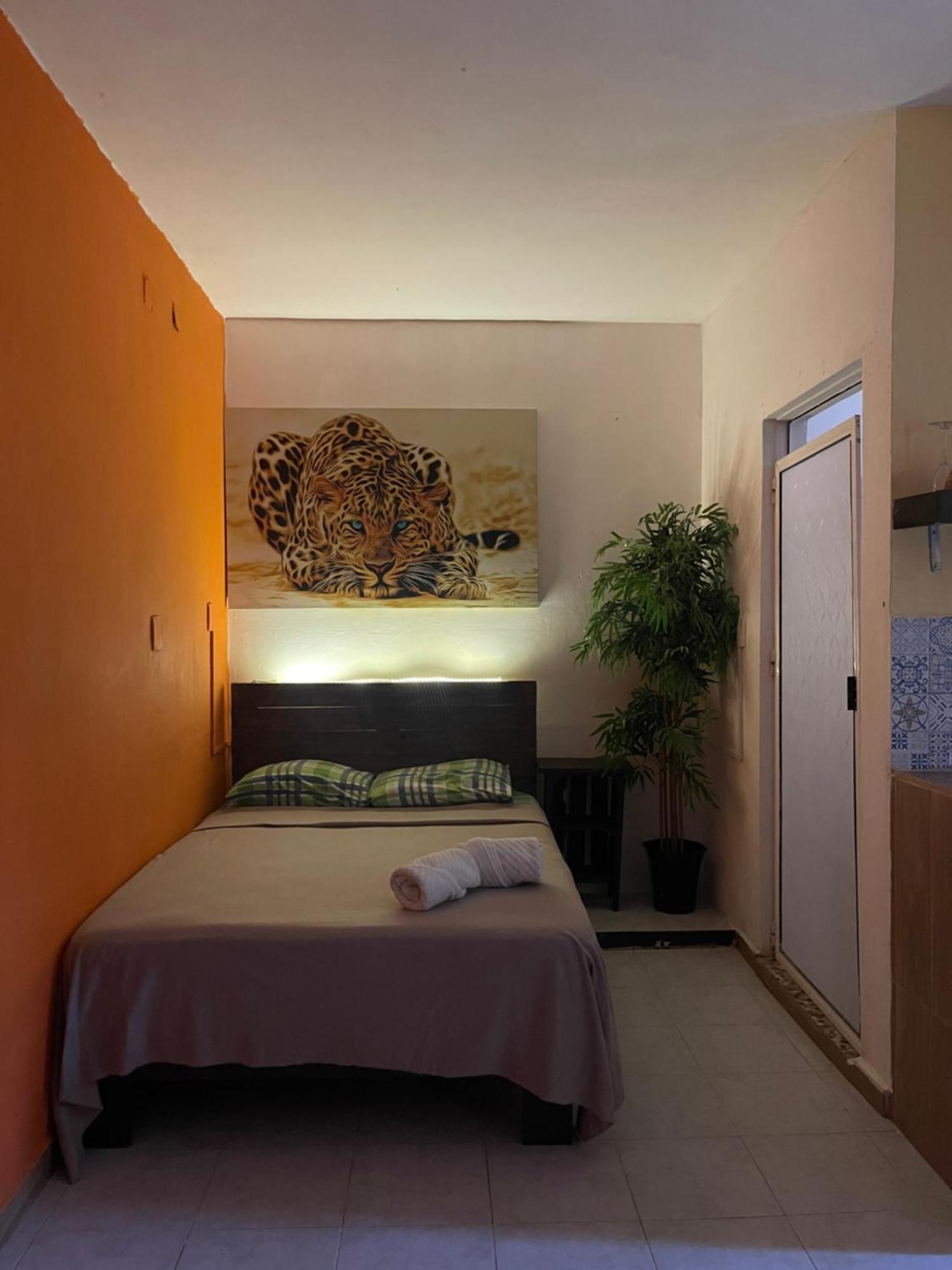 Apartmán Casa Mar Playa del Carmen Exteriér fotografie