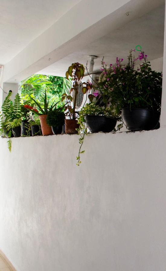 Apartmán Casa Mar Playa del Carmen Exteriér fotografie
